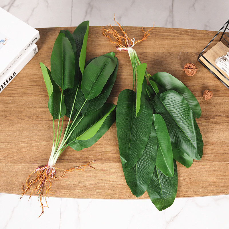 Nhân Tạo Cây Chuối Xanh Mô Phỏ - đánh giá và giá Dracaena Marginata