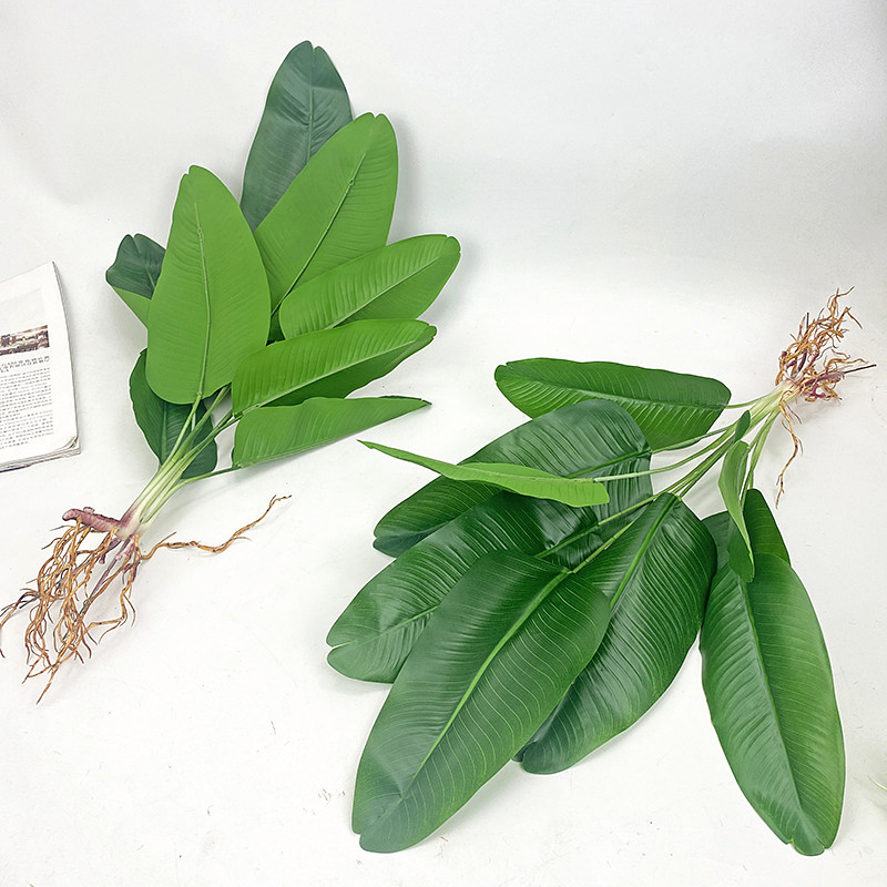 Nhân Tạo Cây Chuối Xanh Mô Phỏ - đánh giá và giá Dracaena Marginata