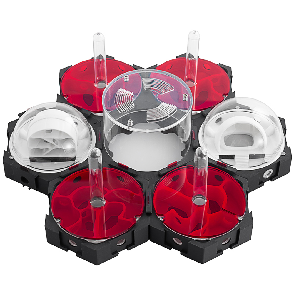 3D Printing Ant Nest Infinitel - đánh giá và giá Begonia Rex