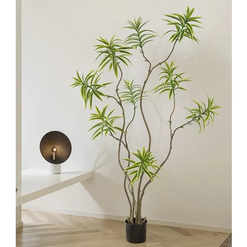 High-Simulation Lily Bamboo Go - đánh giá và giá Dracaena Marginata