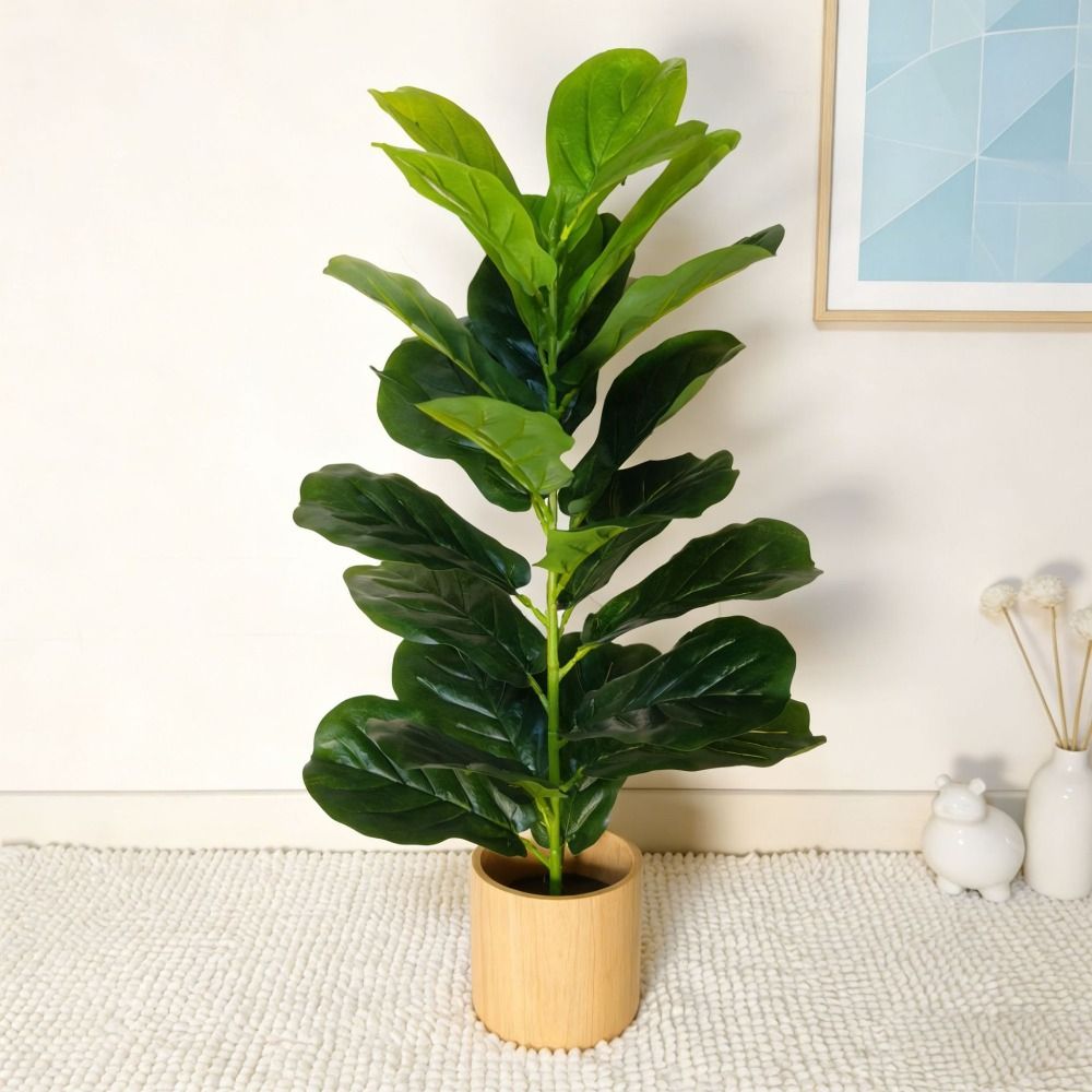 Green Plastic Artificial Ficus - đánh giá và giá Dracaena Marginata