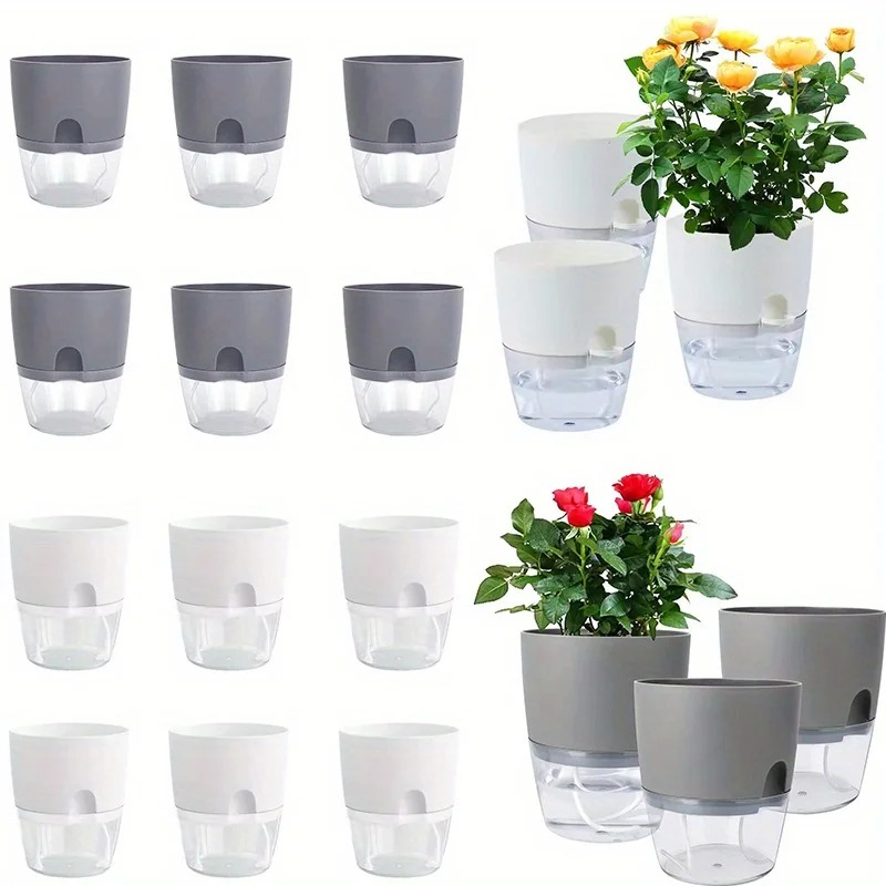 10/5Pcs Self Watering Plastic  - đánh giá và giá Aloe Vera Pot