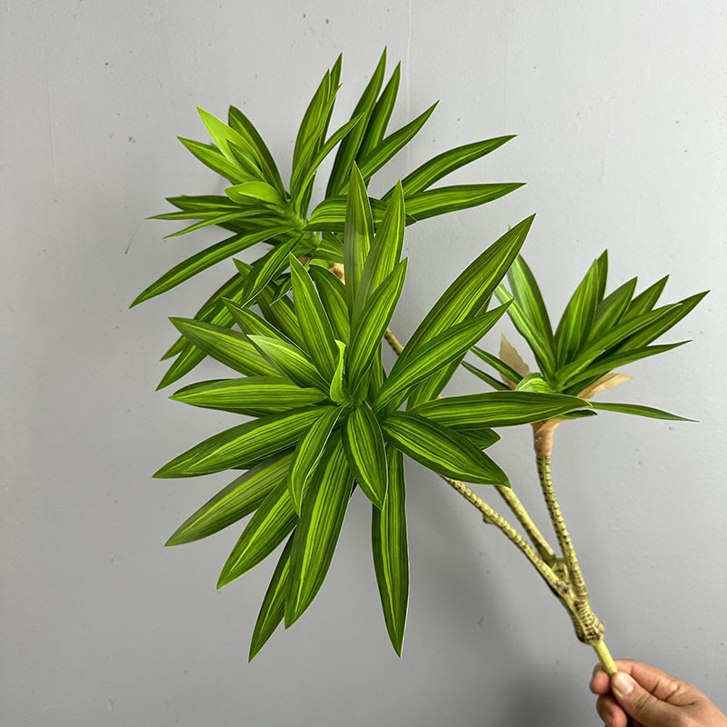 Simulated Green Plants 3 Heads - đánh giá và giá Dracaena Marginata