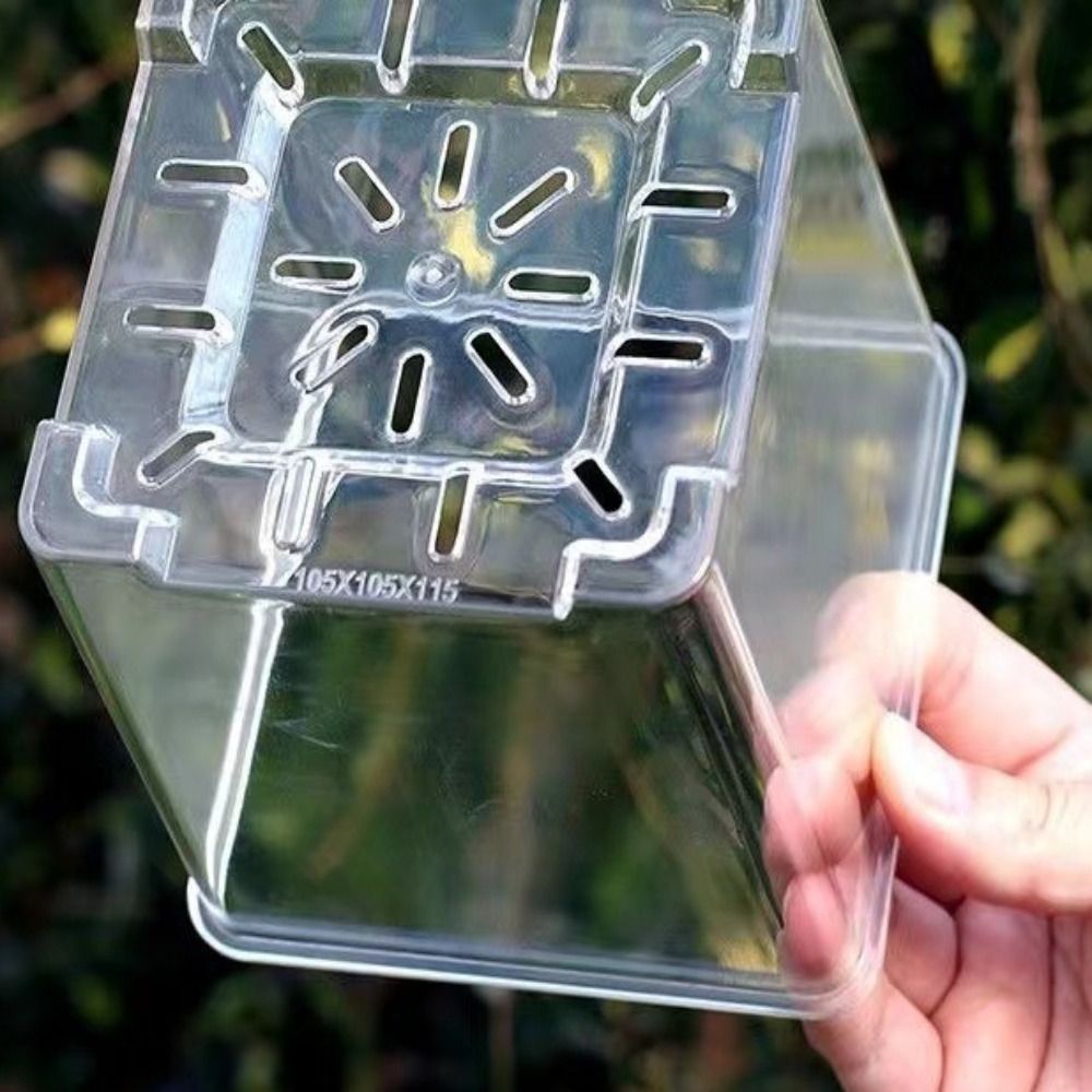 Transparent Material Acrylic P - đánh giá và giá Aloe Vera Pot