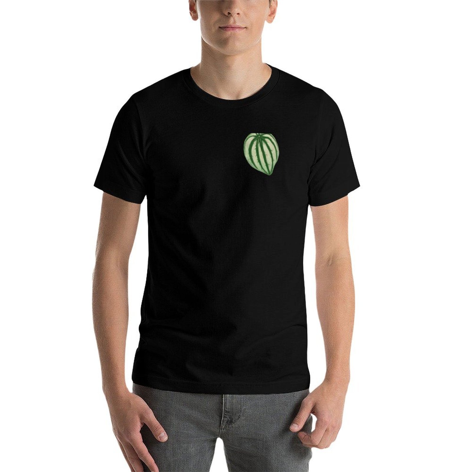 Watermelon Peperomia T-Shirt a - đánh giá và giá Peperomia Watermelon
